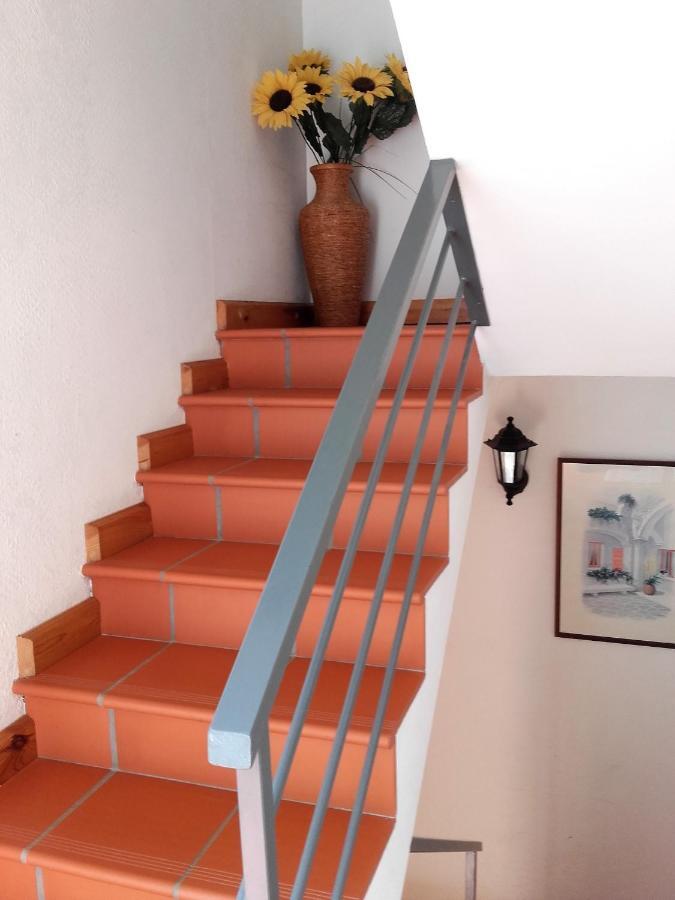 Chambres D'Hotes Mas La Tardosse Prats-de-Mollo-la-Preste Esterno foto
